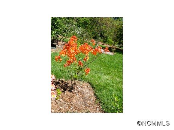 129 Midland Drive Asheville NC 28804