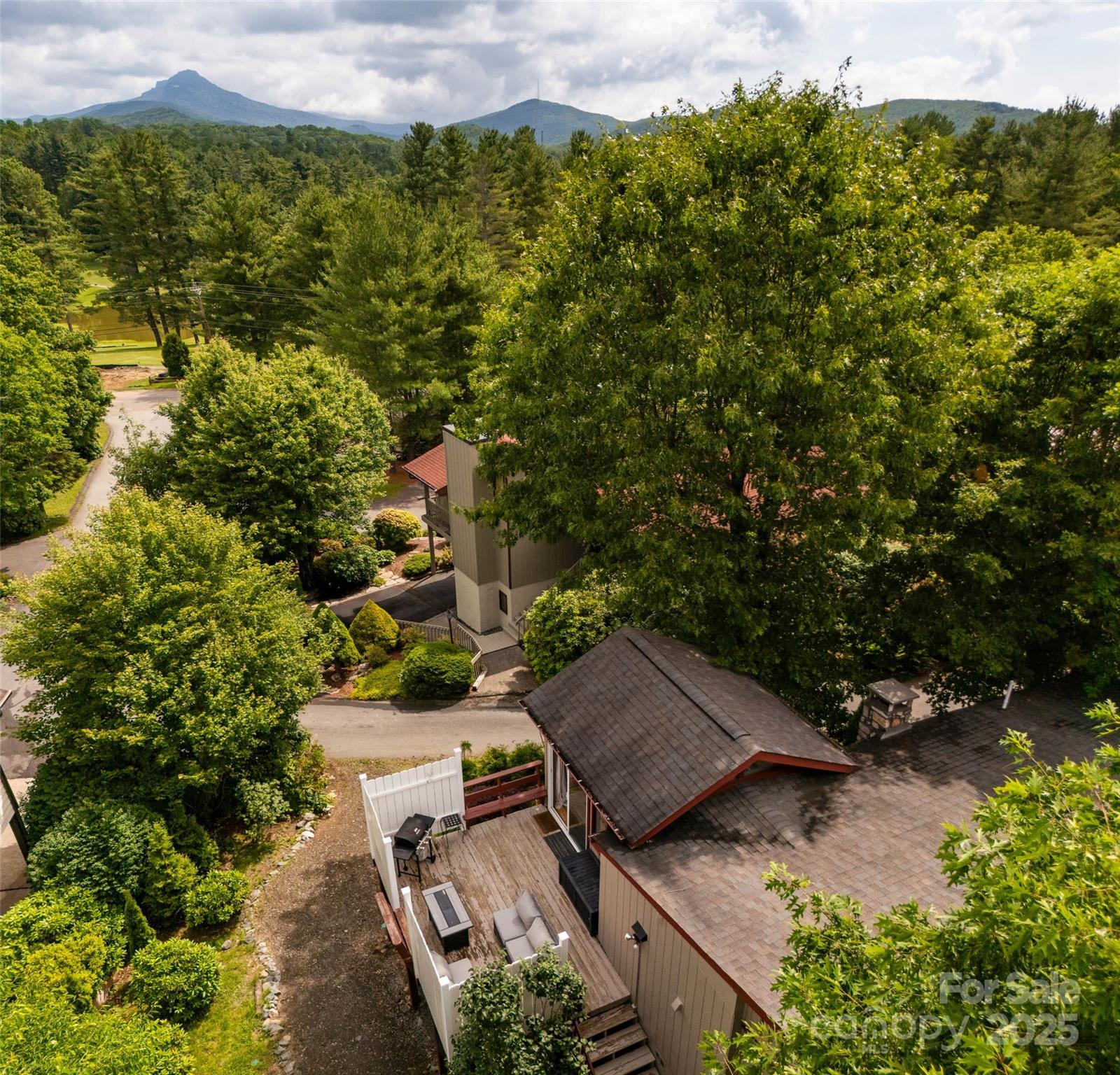 335 Snowshoe Loop Newland NC 28657