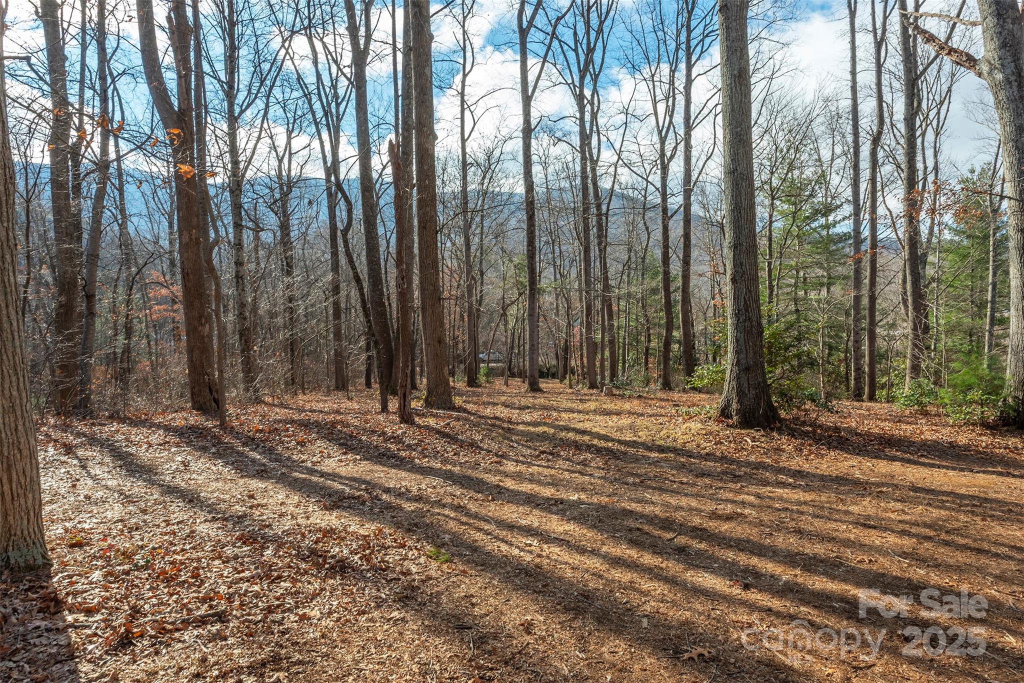333 Richmond Avenue Swannanoa NC 28778