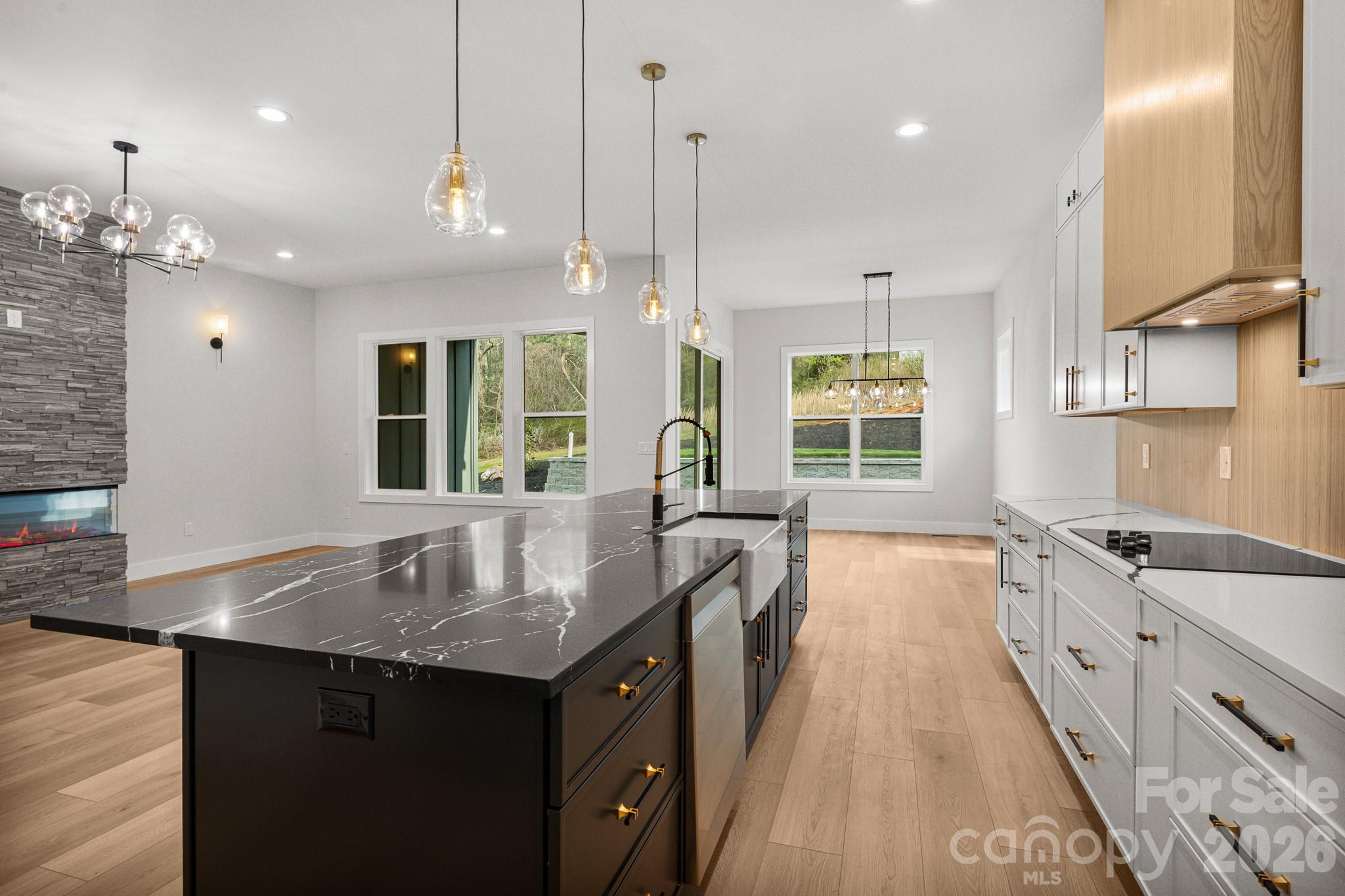 8 Overlook Place Asheville NC 28803