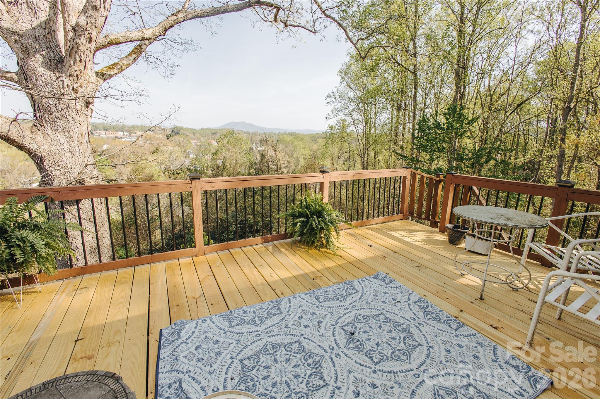 56 E Glenview Street Marion NC 28752
