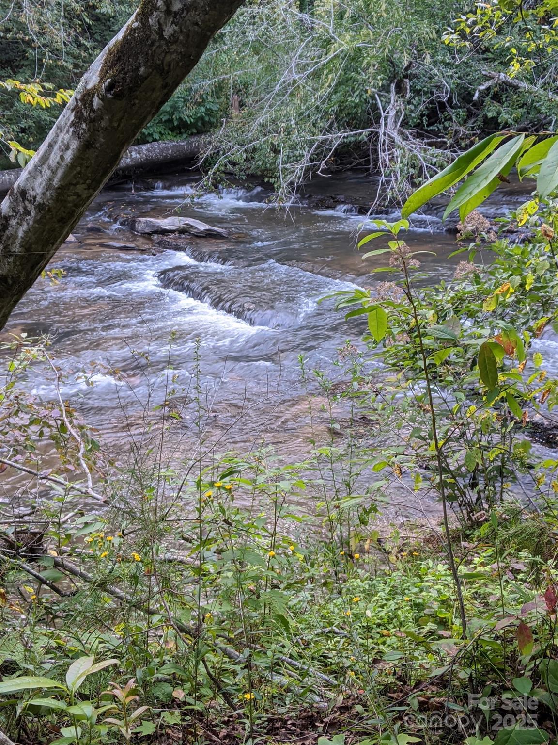 499 Indian Hill Road Olin NC 28660