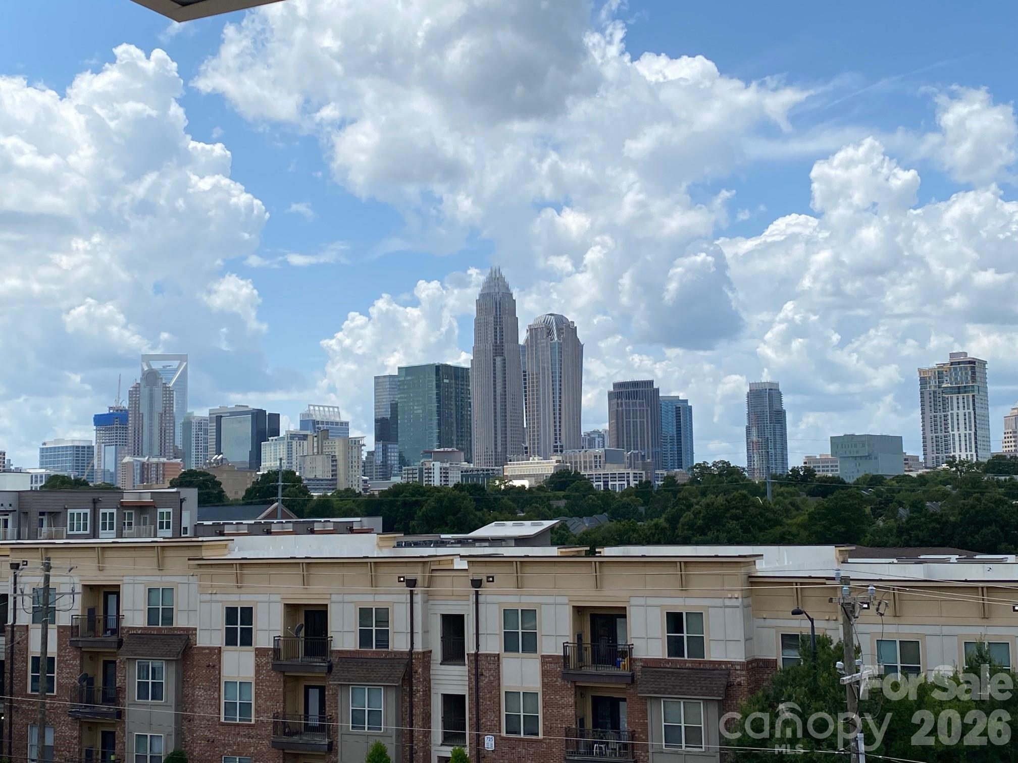 12119 Brooklyn Avenue Charlotte NC 28204