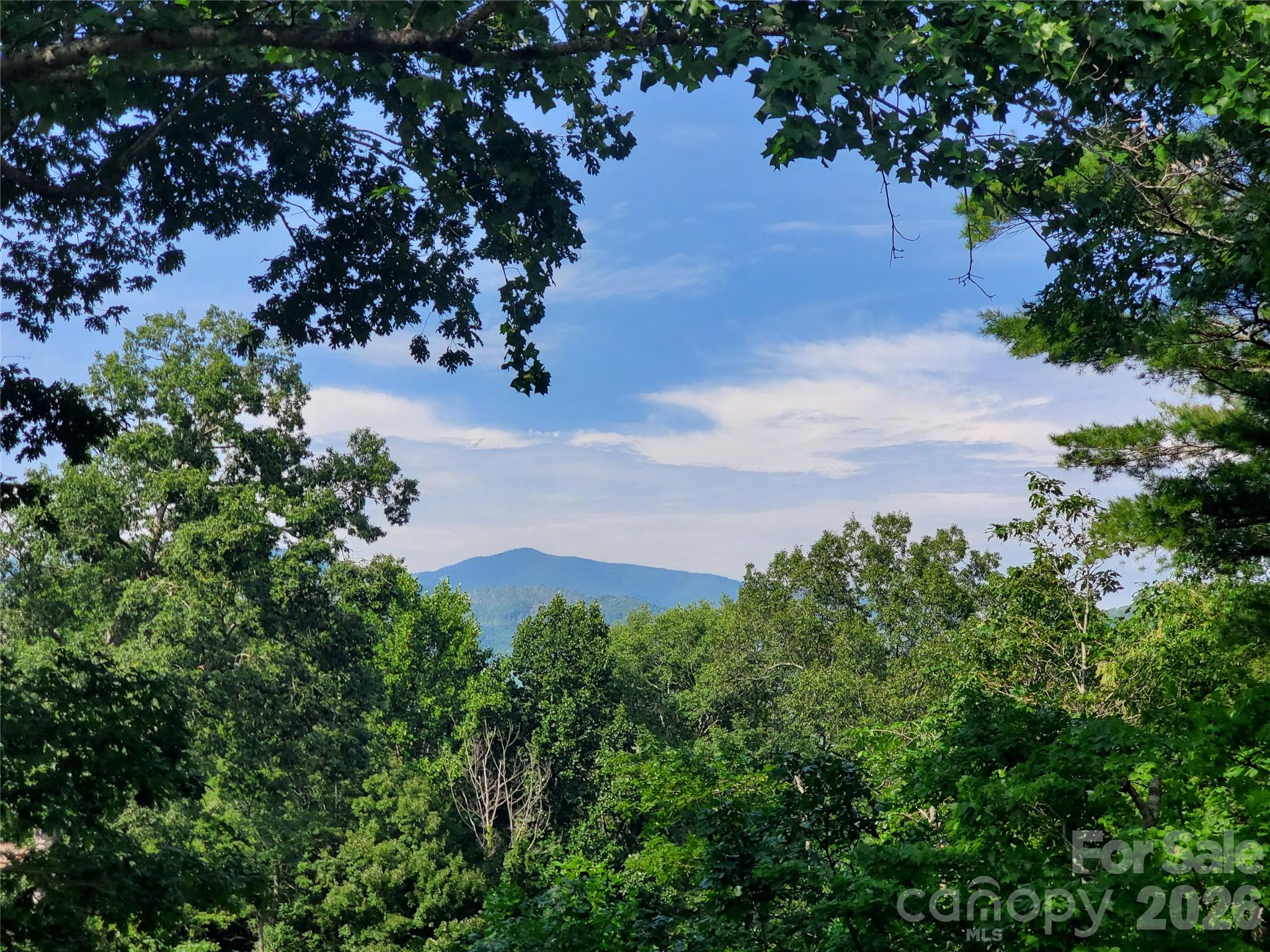 294 Martha Drive Spruce Pine NC 28777