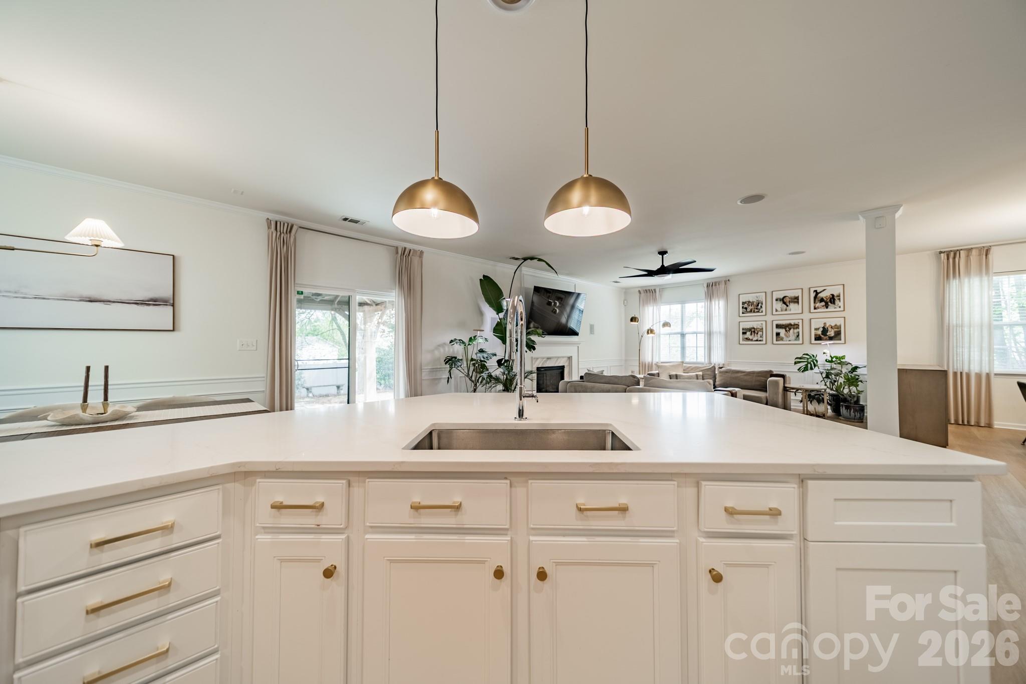 3316 Brackhill Street Davidson NC 28036