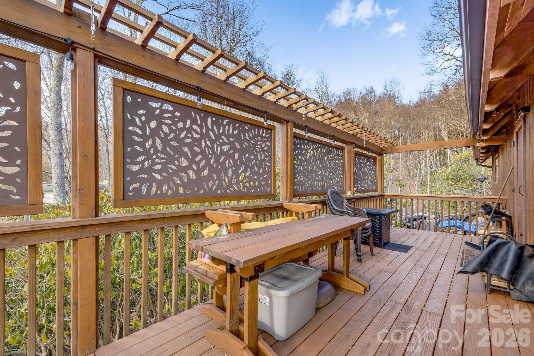 170 Wonderwood Lane Clyde NC 28721