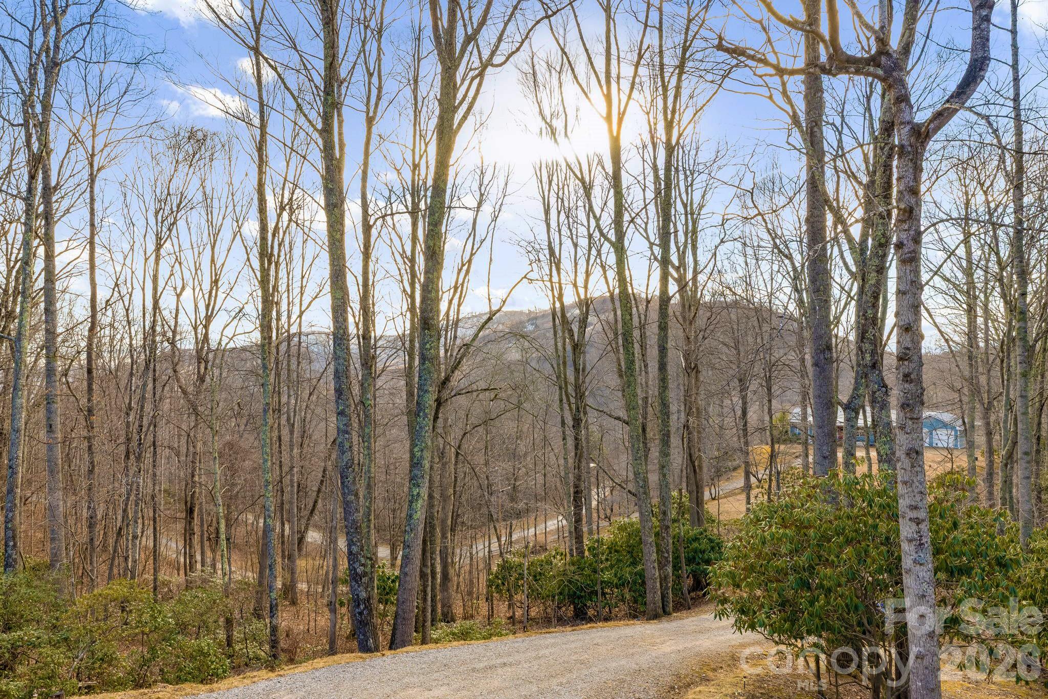 170 Wonderwood Lane Clyde NC 28721