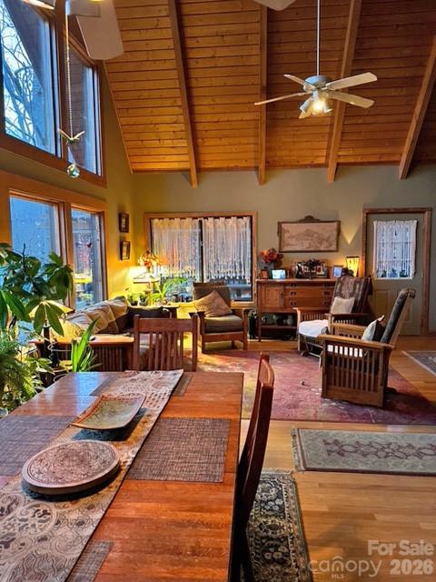 170 Wonderwood Lane Clyde NC 28721
