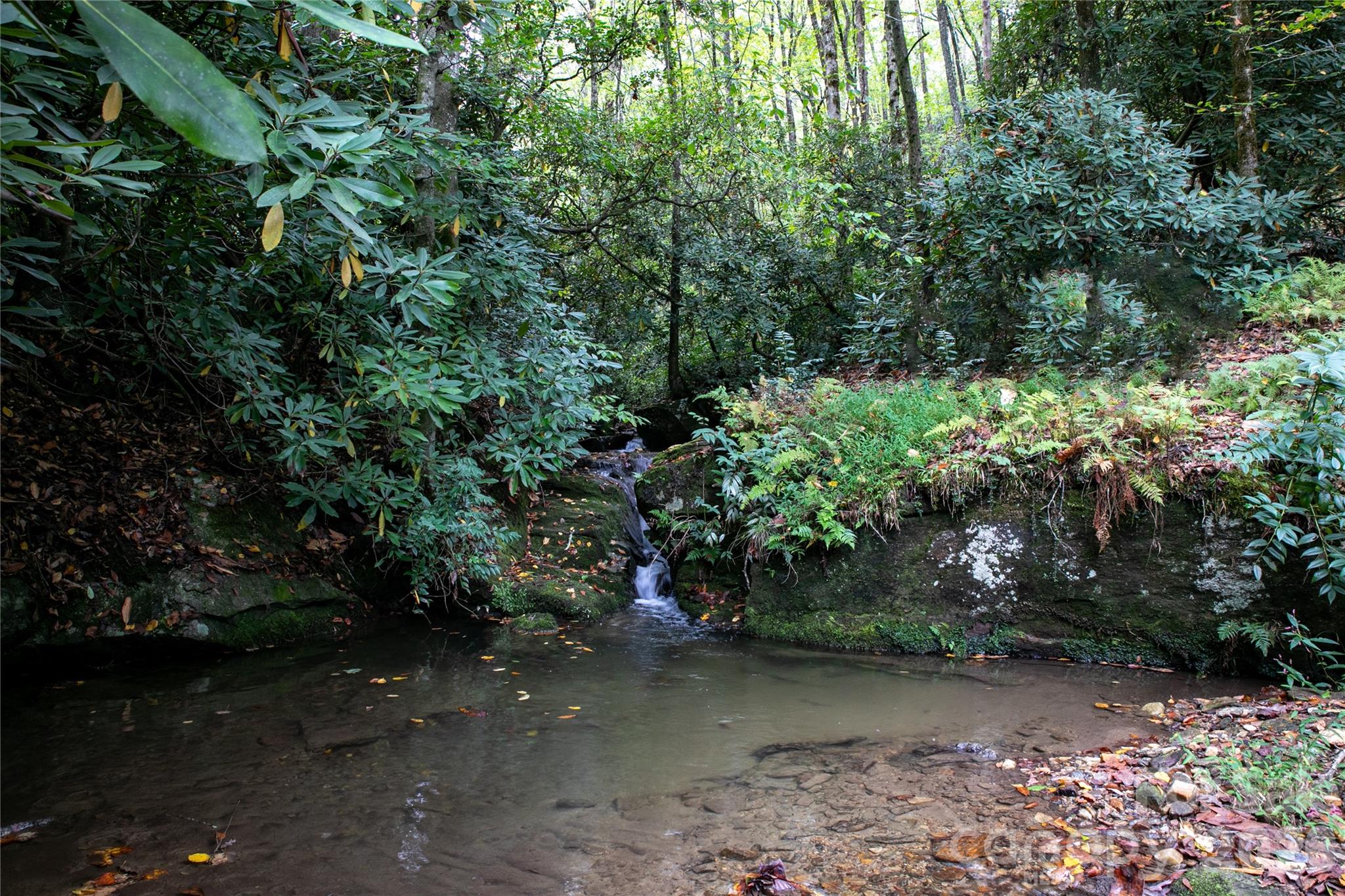923 Ugugu Drive Brevard NC 28712