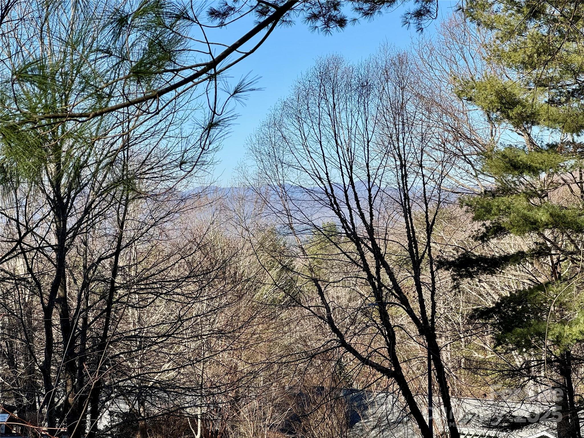 15 Elmwood Lane Asheville NC 28803