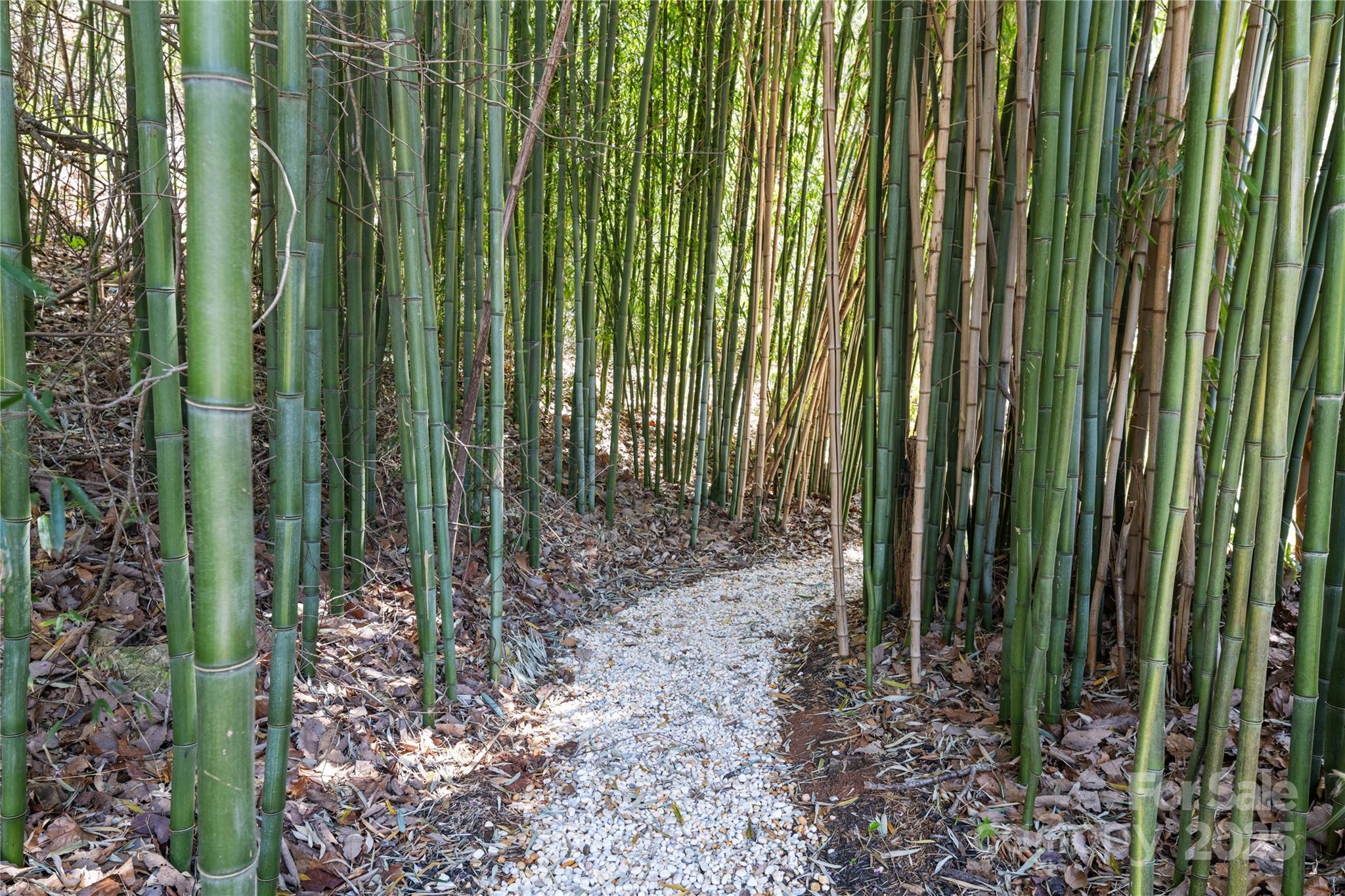 15 Elmwood Lane Asheville NC 28803