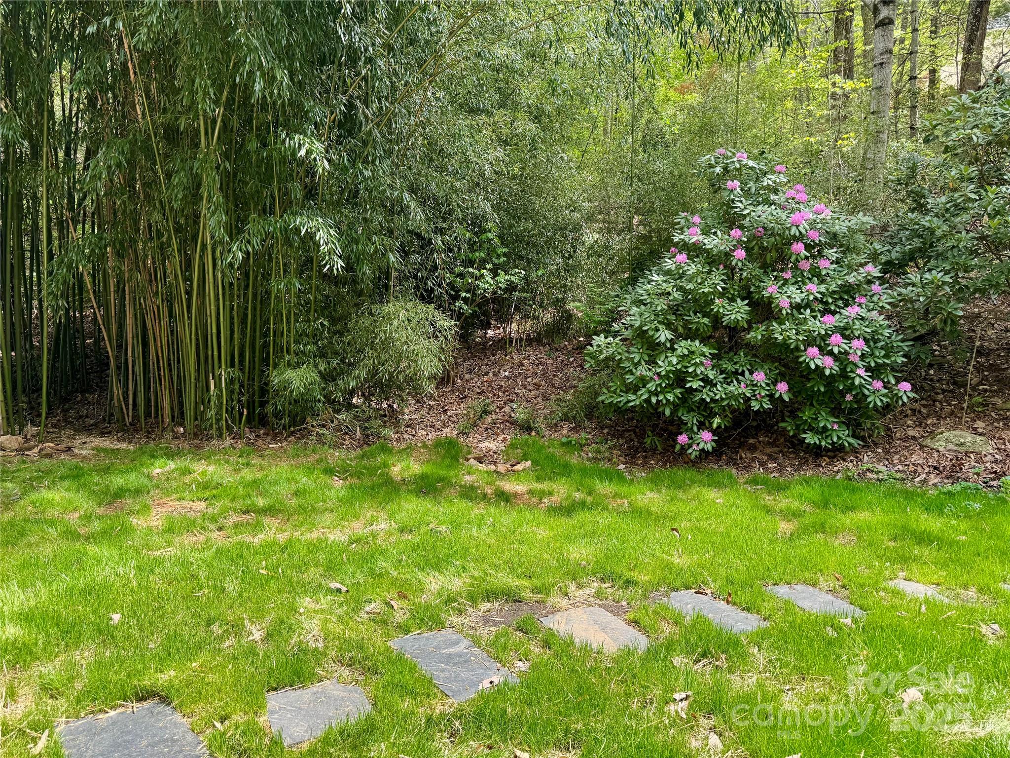 15 Elmwood Lane Asheville NC 28803