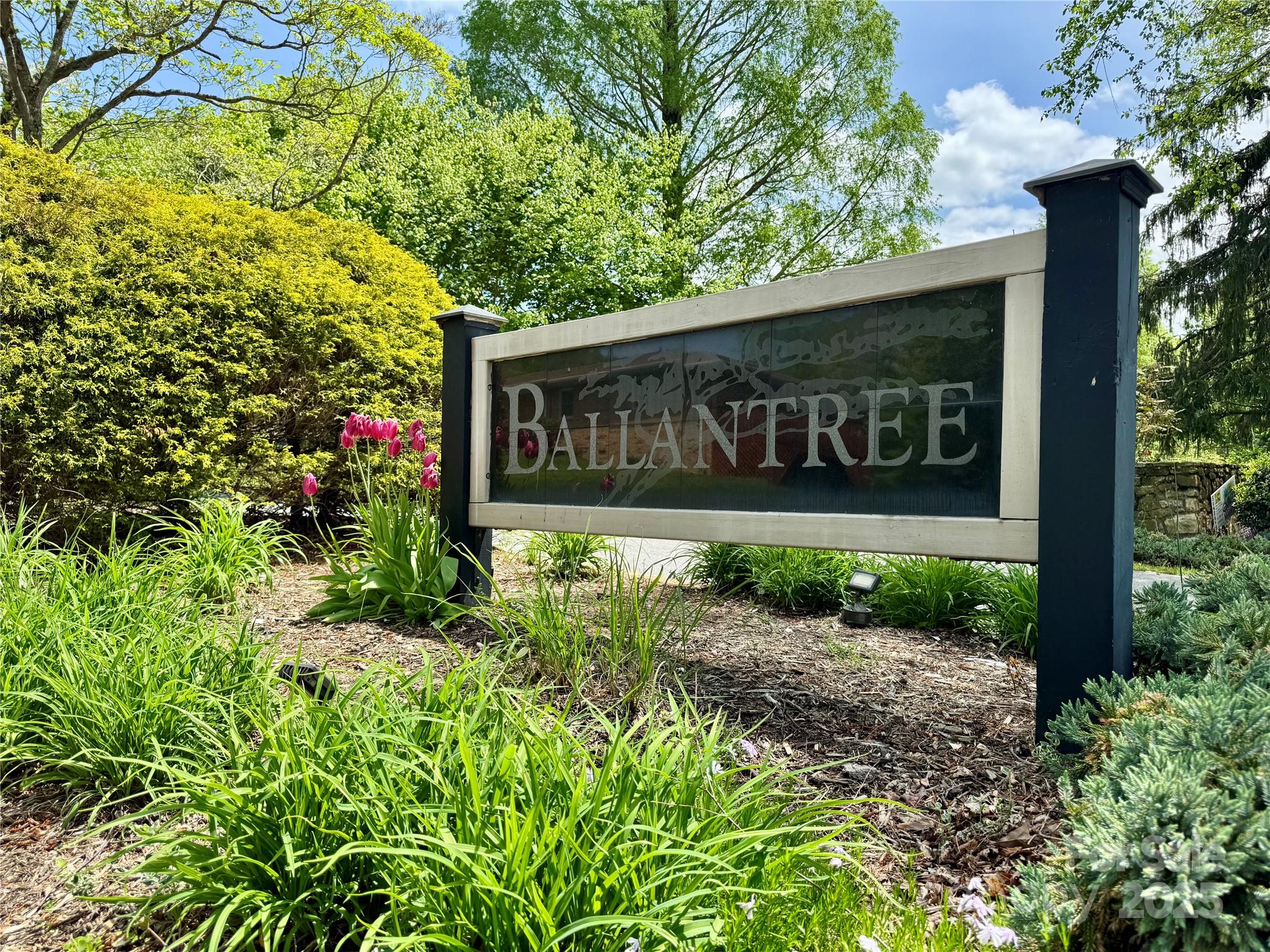 15 Elmwood Lane Asheville NC 28803