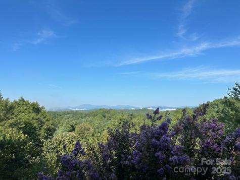 259 Dvdegi Court Brevard NC 28712