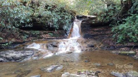 259 Dvdegi Court Brevard NC 28712