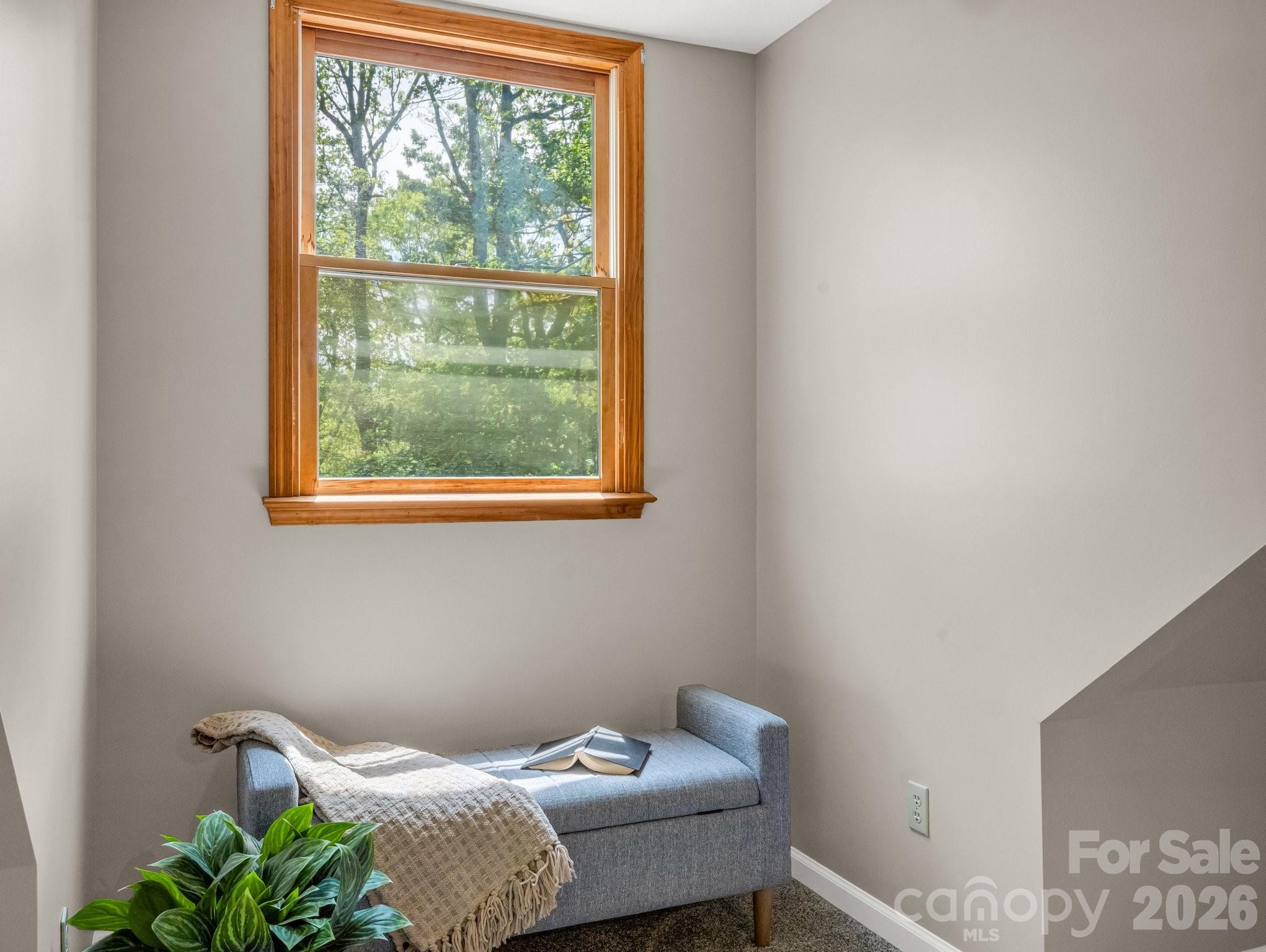 2304 Mountain Page Road Saluda NC 28773