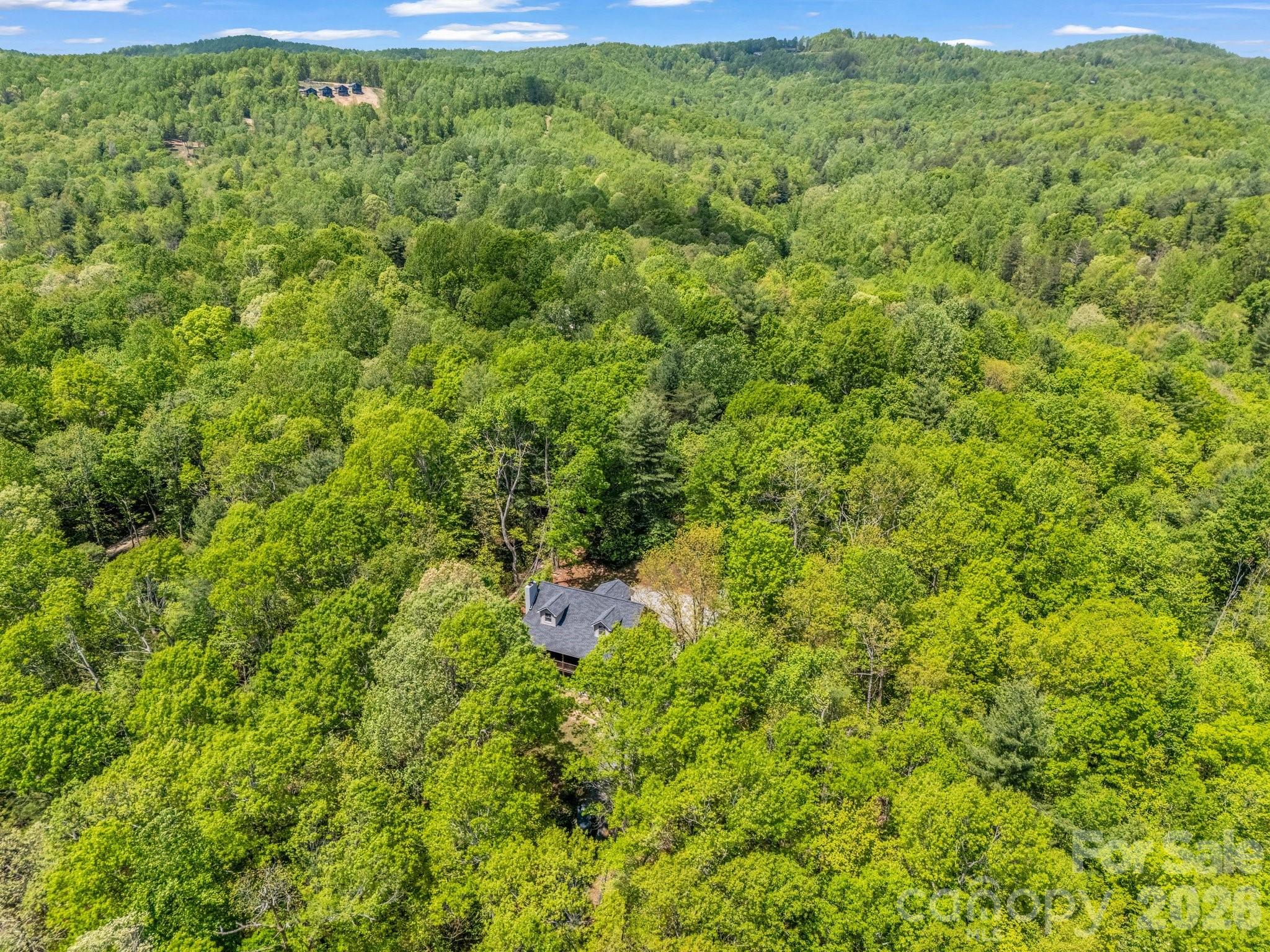 2304 Mountain Page Road Saluda NC 28773