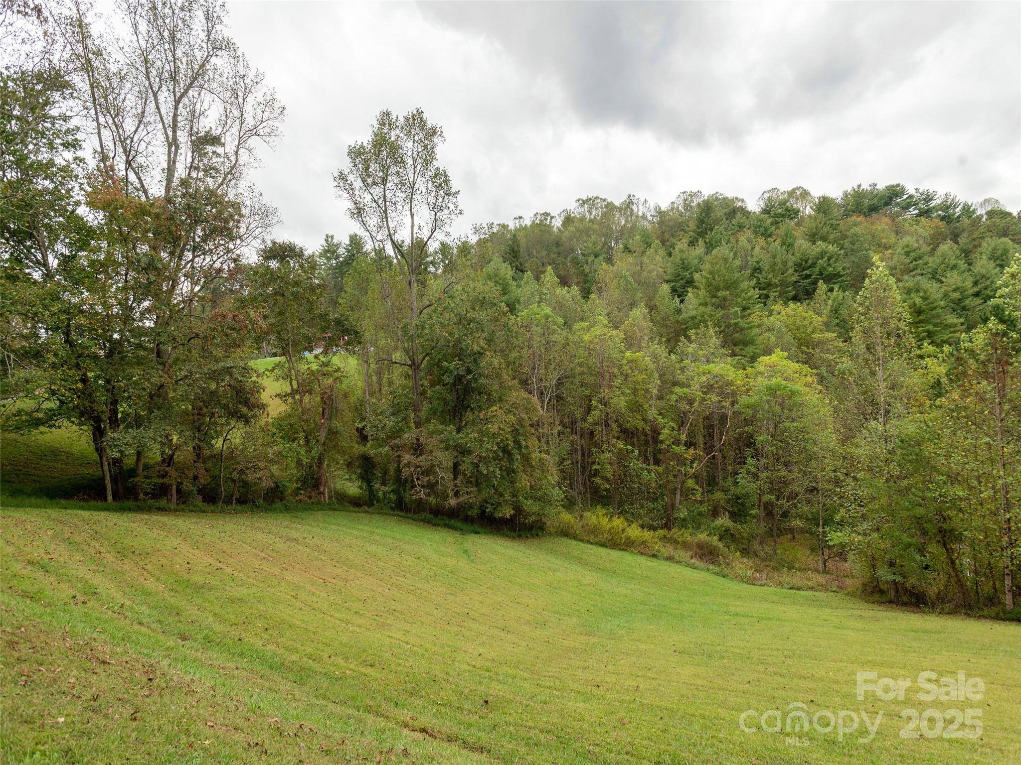 81 Mount Airy Road Marshall NC 28753