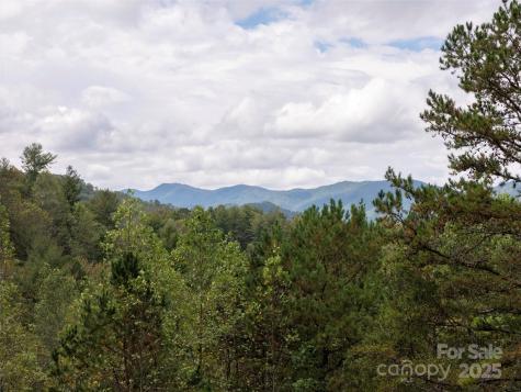 81 Mount Airy Road Marshall NC 28753