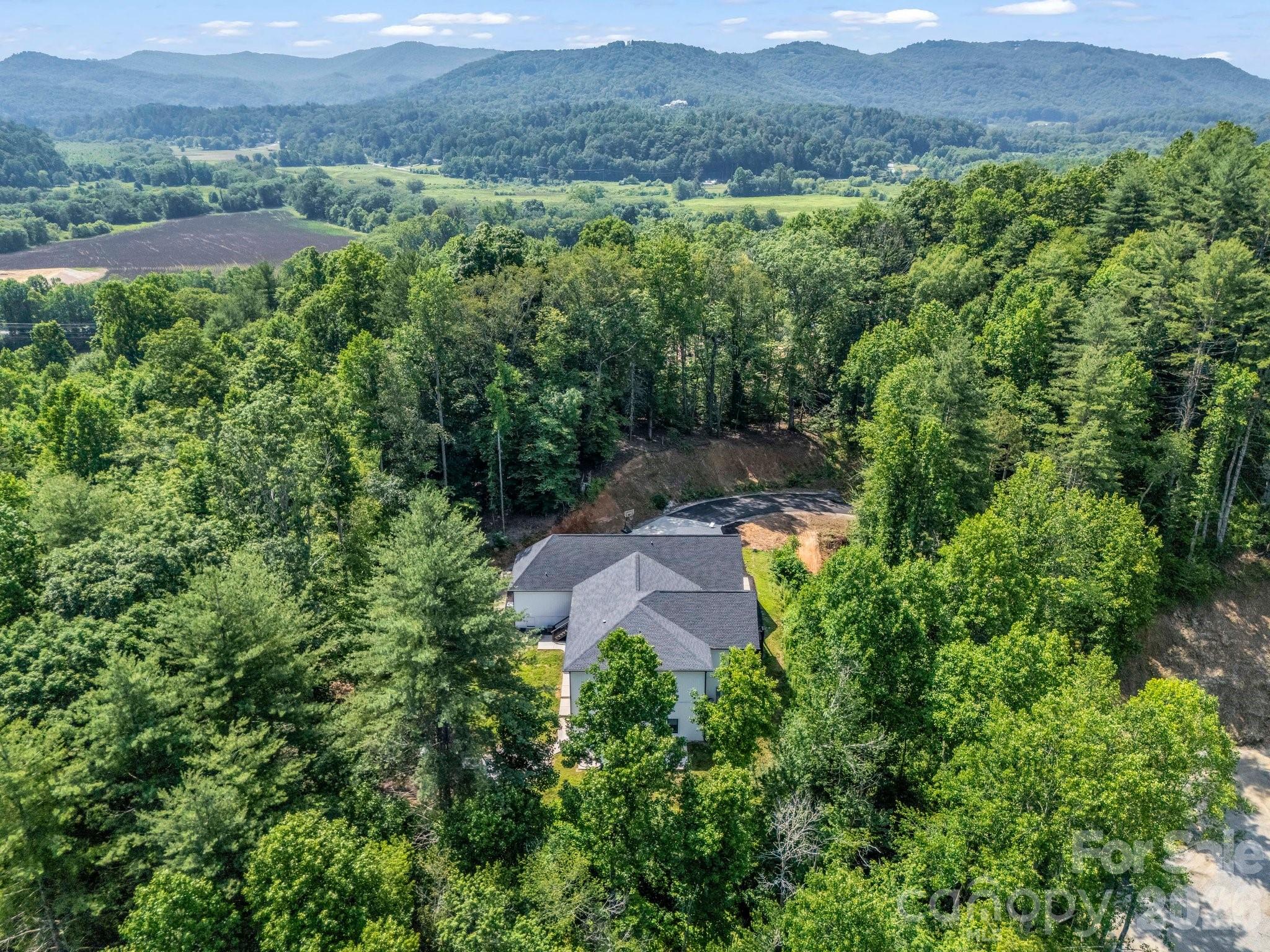 5717 Turnpike Road Horse Shoe NC 28742