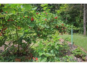 5 Hibriten Drive Asheville NC 28801