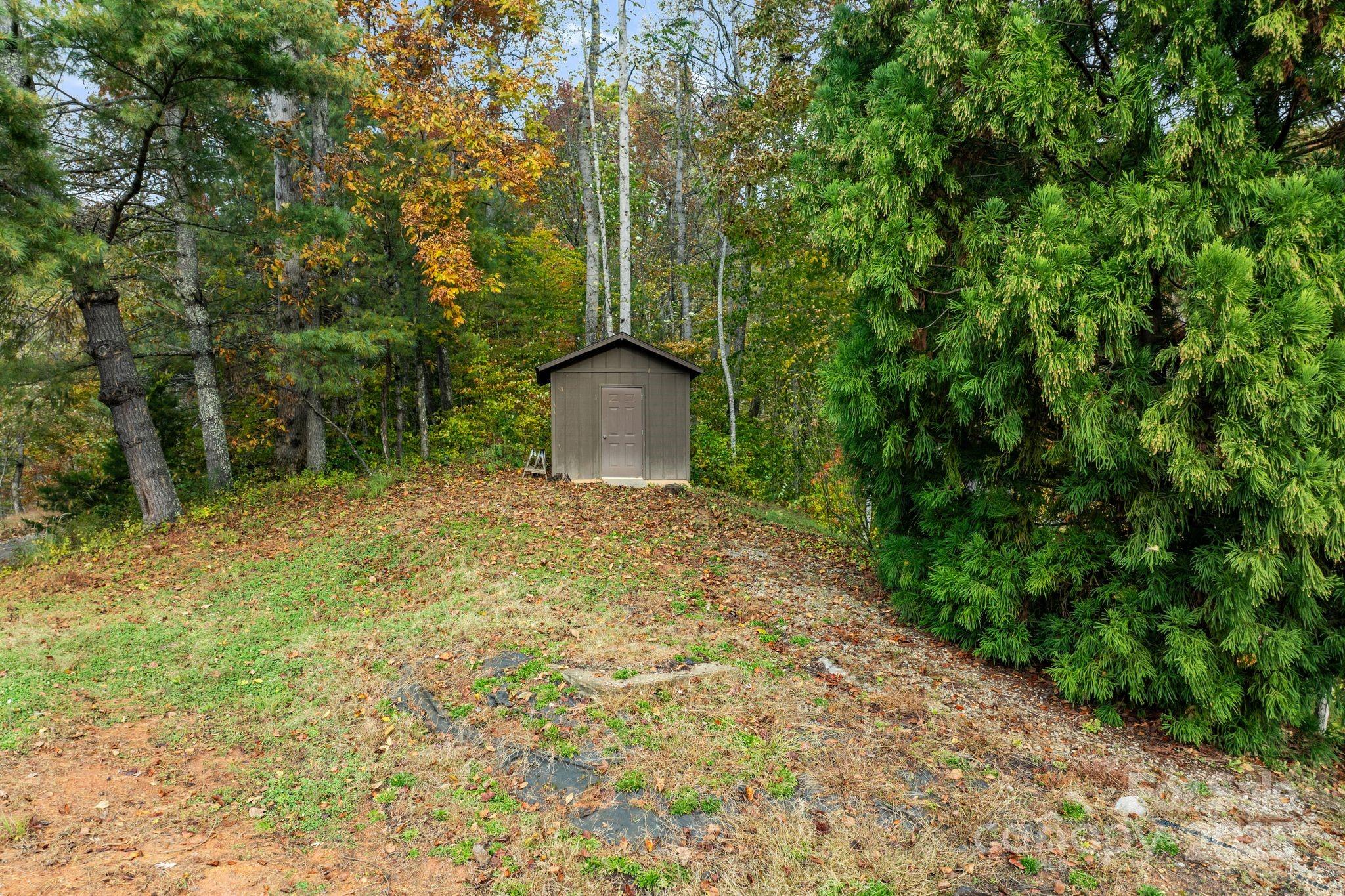 100 Beech Valley Estate Weaverville NC 28787