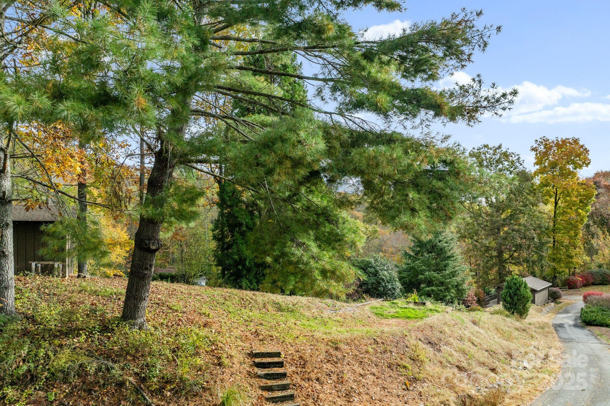 100 Beech Valley Estate Weaverville NC 28787