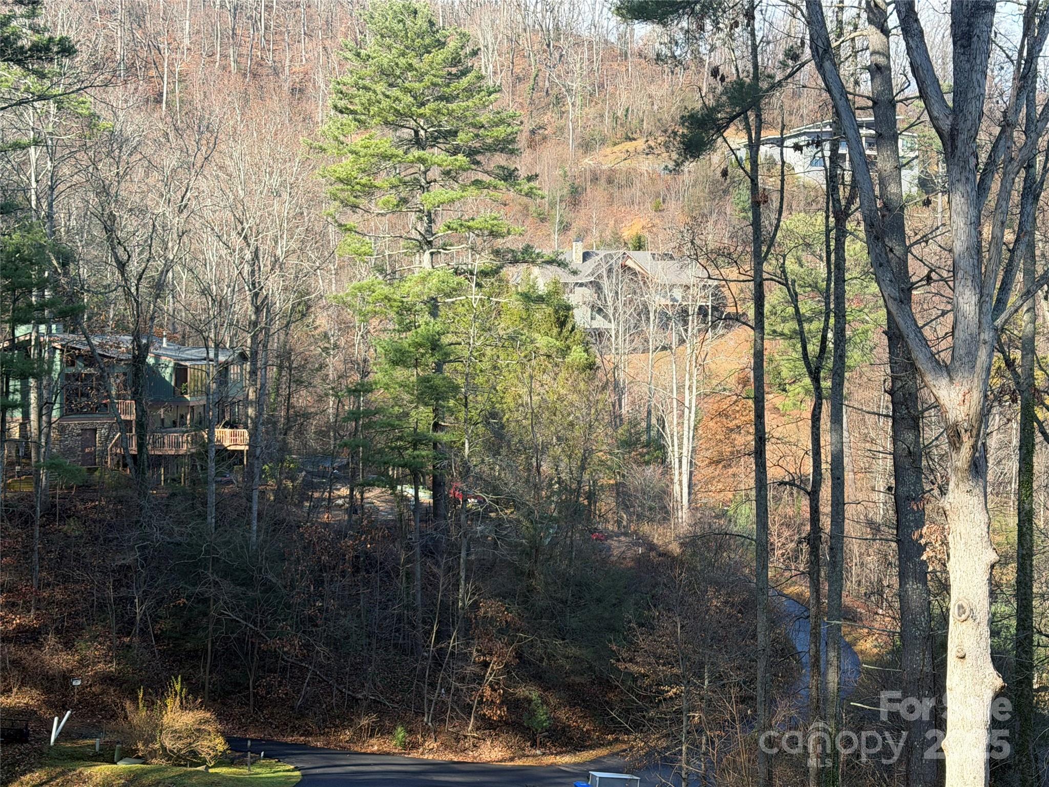 42 Spring Cove Road Asheville NC 28804