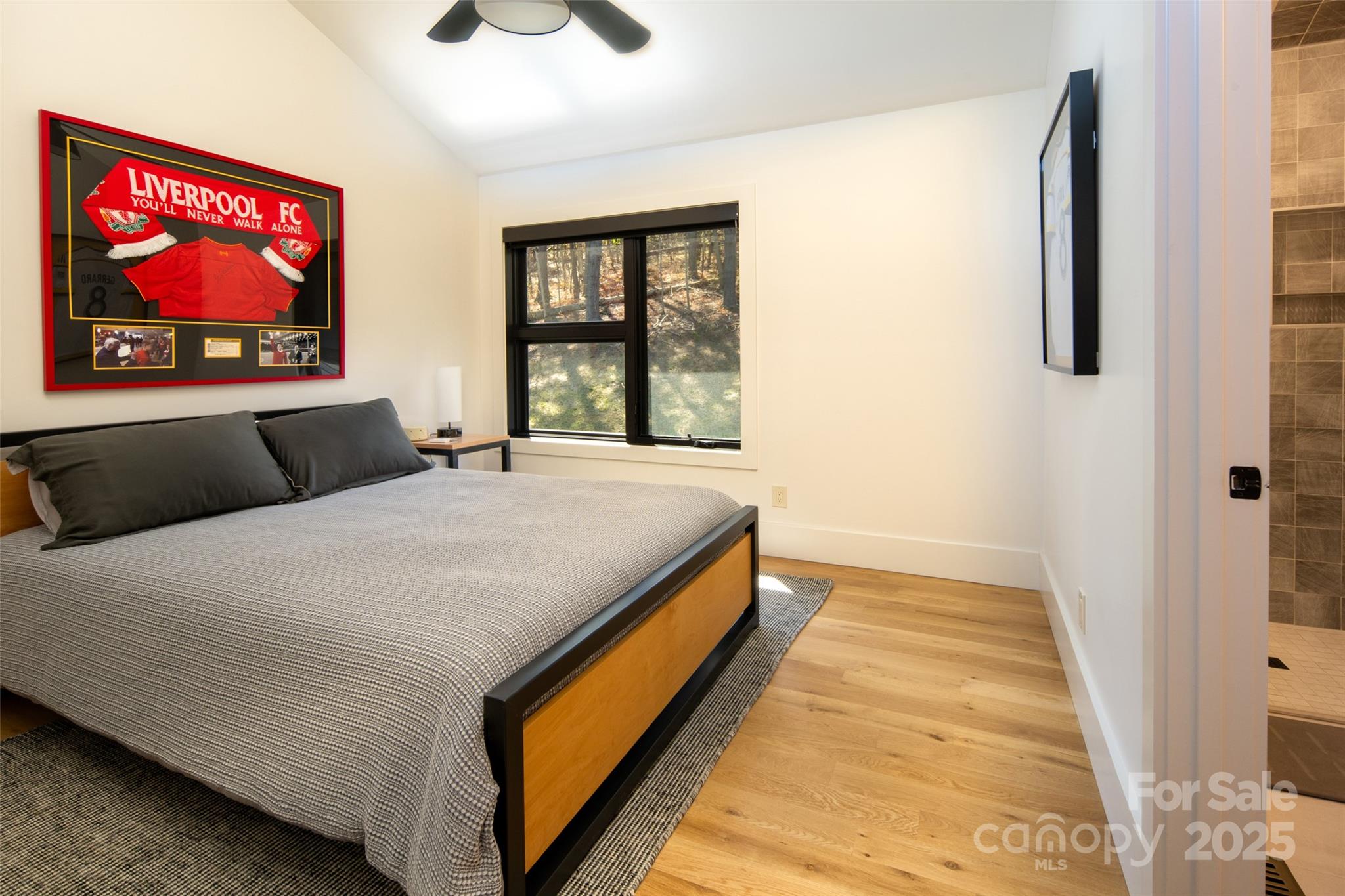 42 Spring Cove Road Asheville NC 28804
