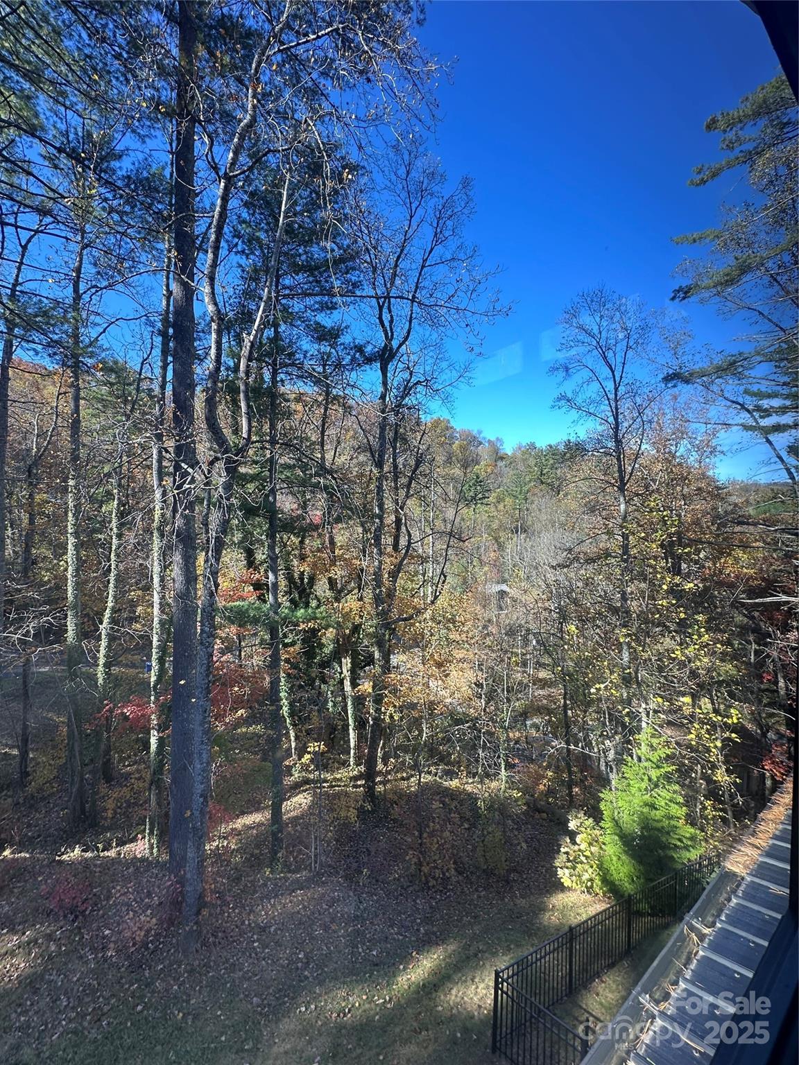 42 Spring Cove Road Asheville NC 28804