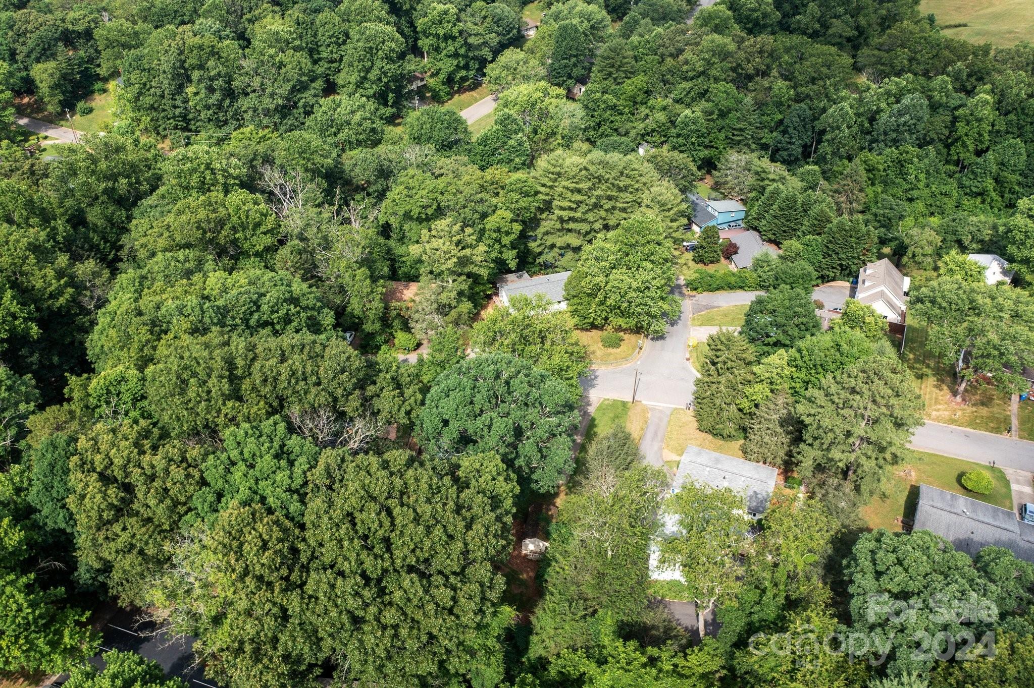 30 Evelake Drive Asheville NC 28806