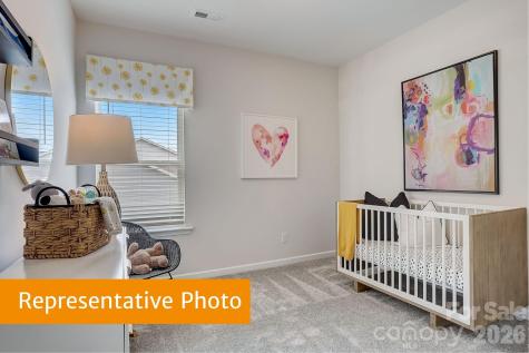 4236 Ruth Creek Court Charlotte NC 28216