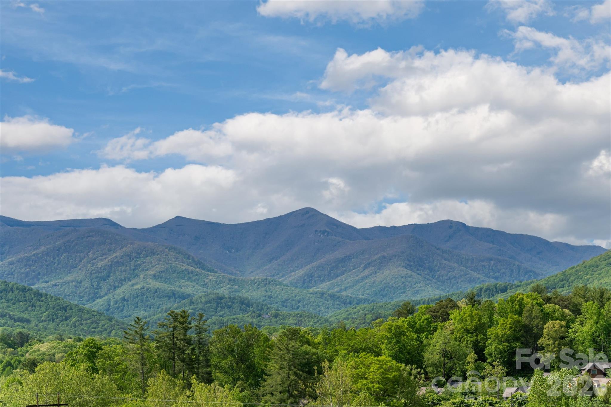 25 Rantis Lane Black Mountain NC 28711