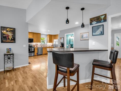 179 Kingfisher Lane Mills River NC 28759