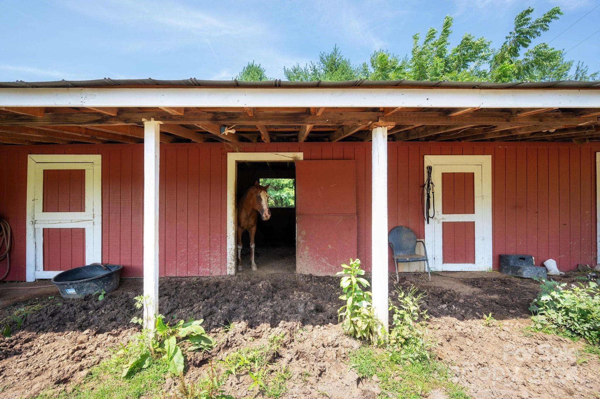 20 Morning Glory Lane Weaverville NC 28787