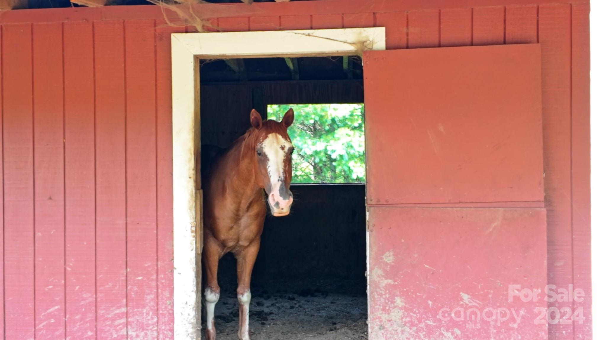 20 Morning Glory Lane Weaverville NC 28787