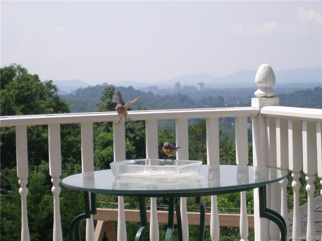 4 Elk Mountain Ridge Asheville NC 28804