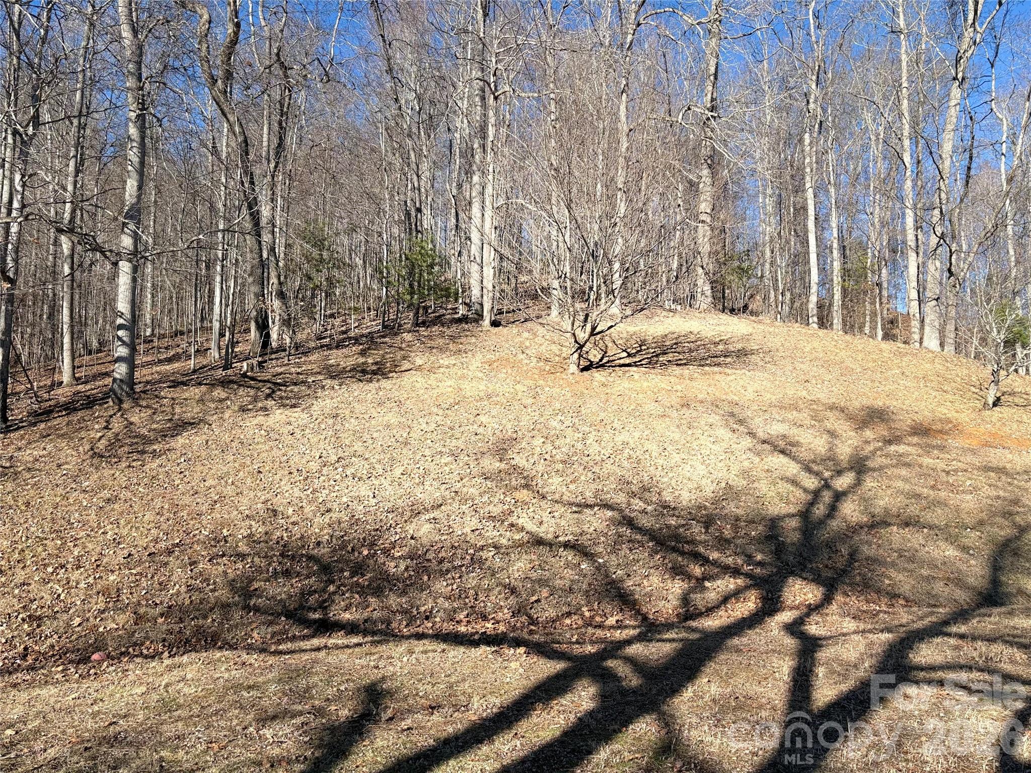 219 Rocking Horse Trail Burnsville NC 28714