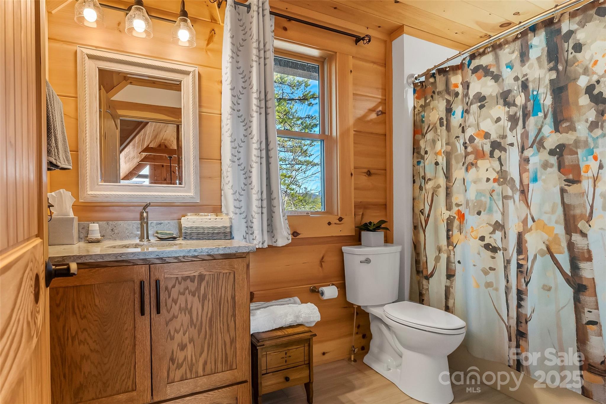 9228 Shortoff View Terrace Nebo NC 28761