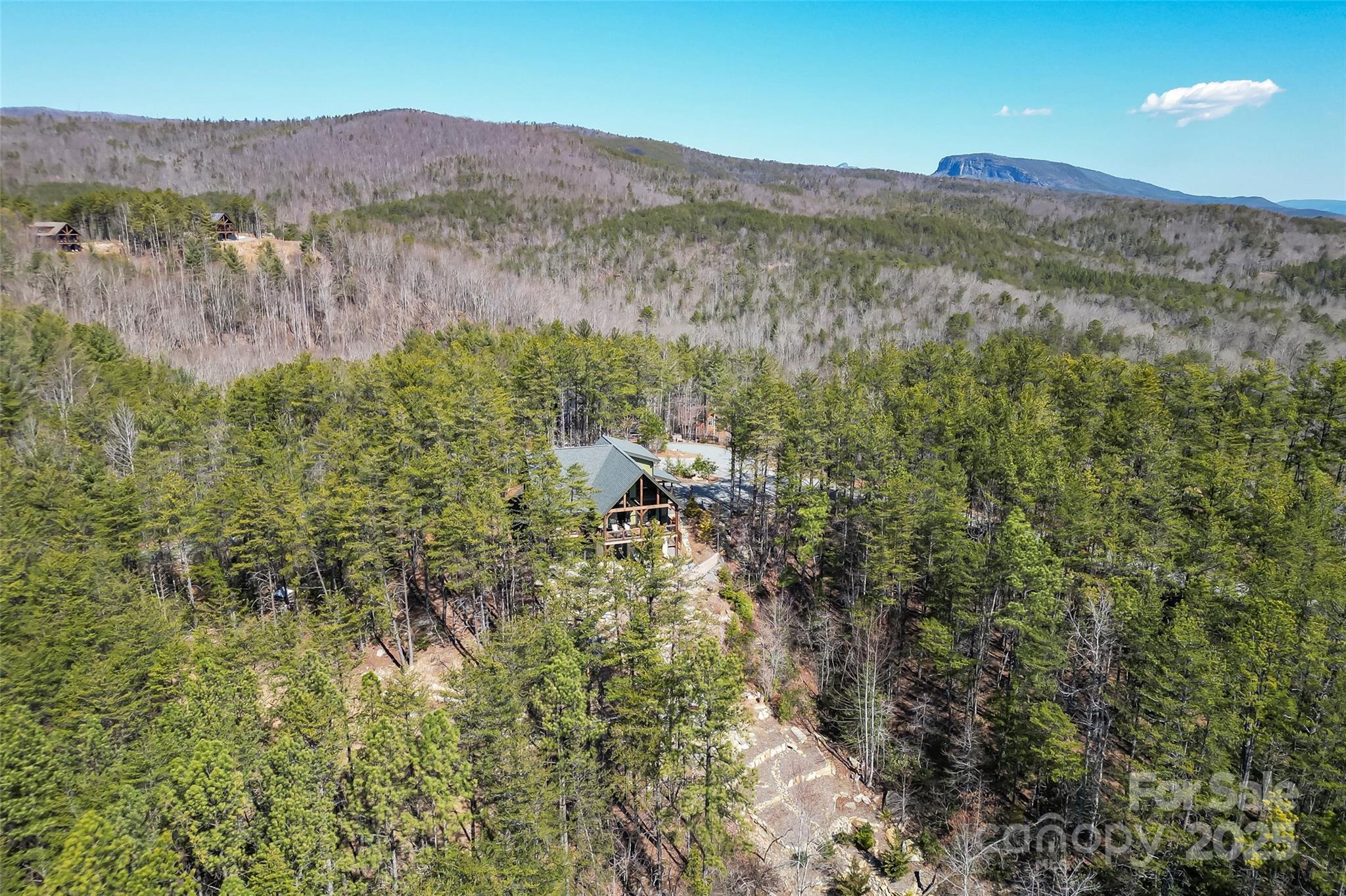 9228 Shortoff View Terrace Nebo NC 28761