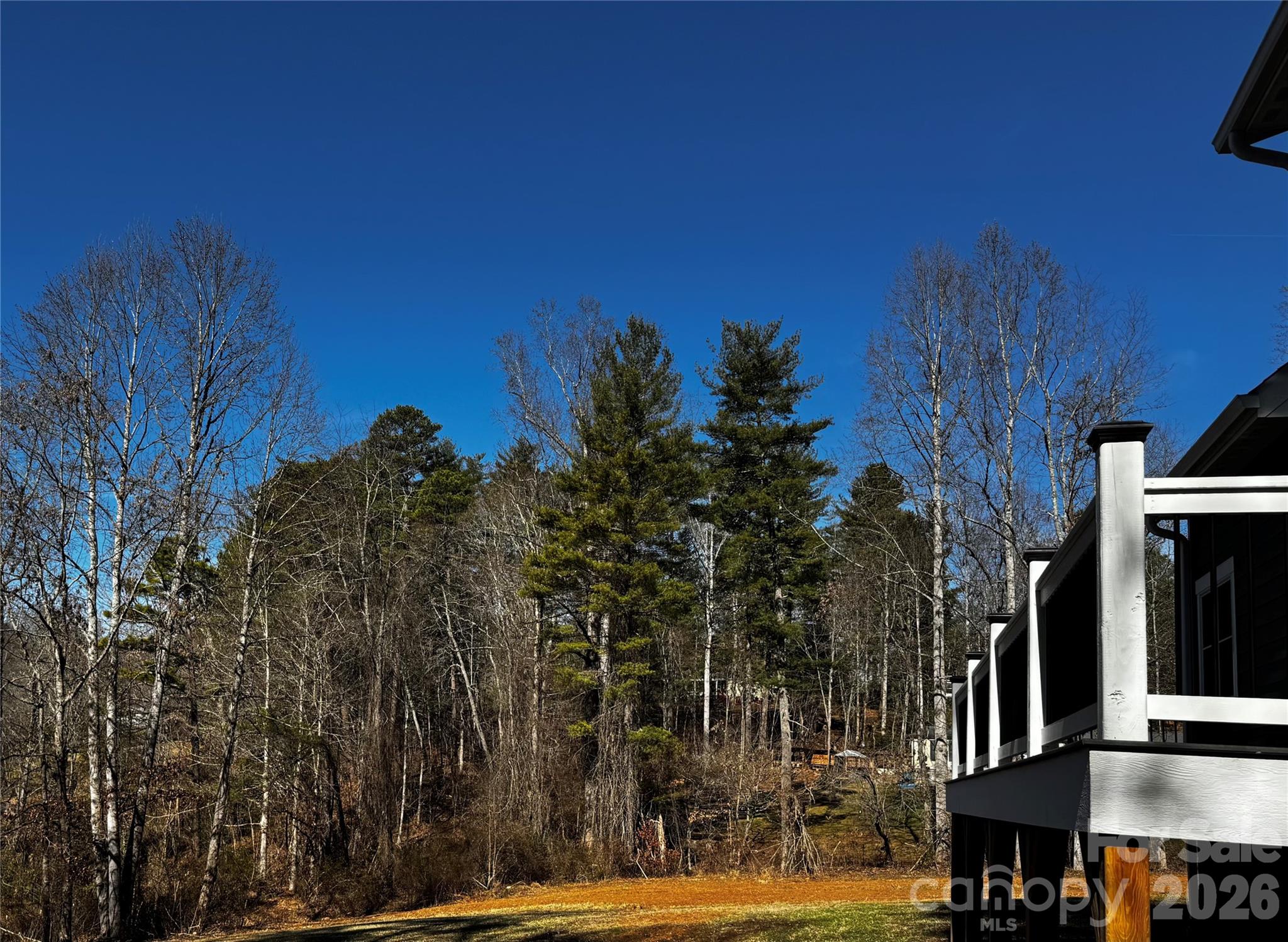 426 Shadow Wood Drive Leicester NC 28748