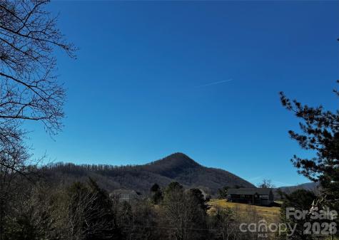 426 Shadow Wood Drive Leicester NC 28748