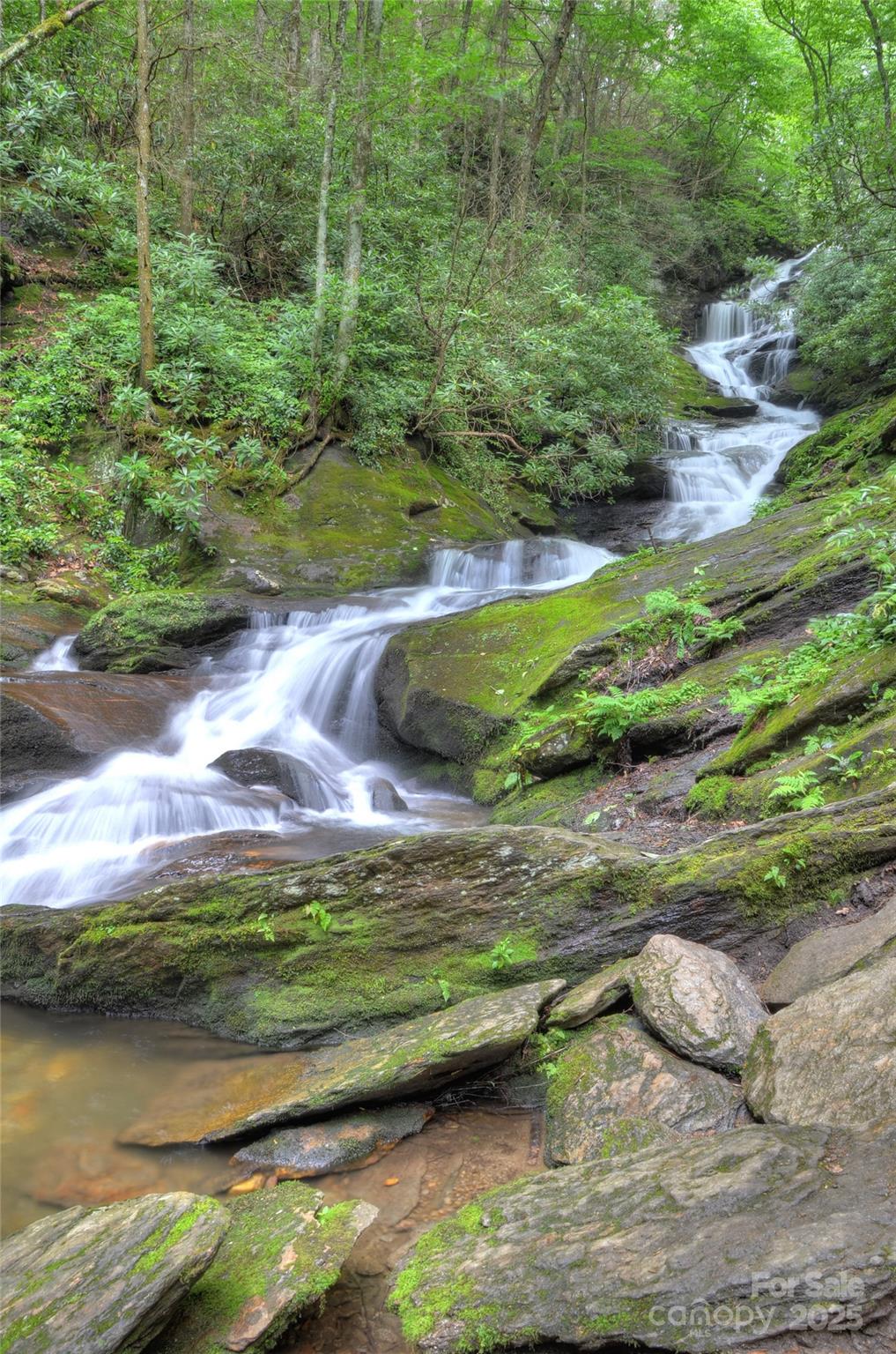 565 Winterstar Loop Burnsville NC 28714