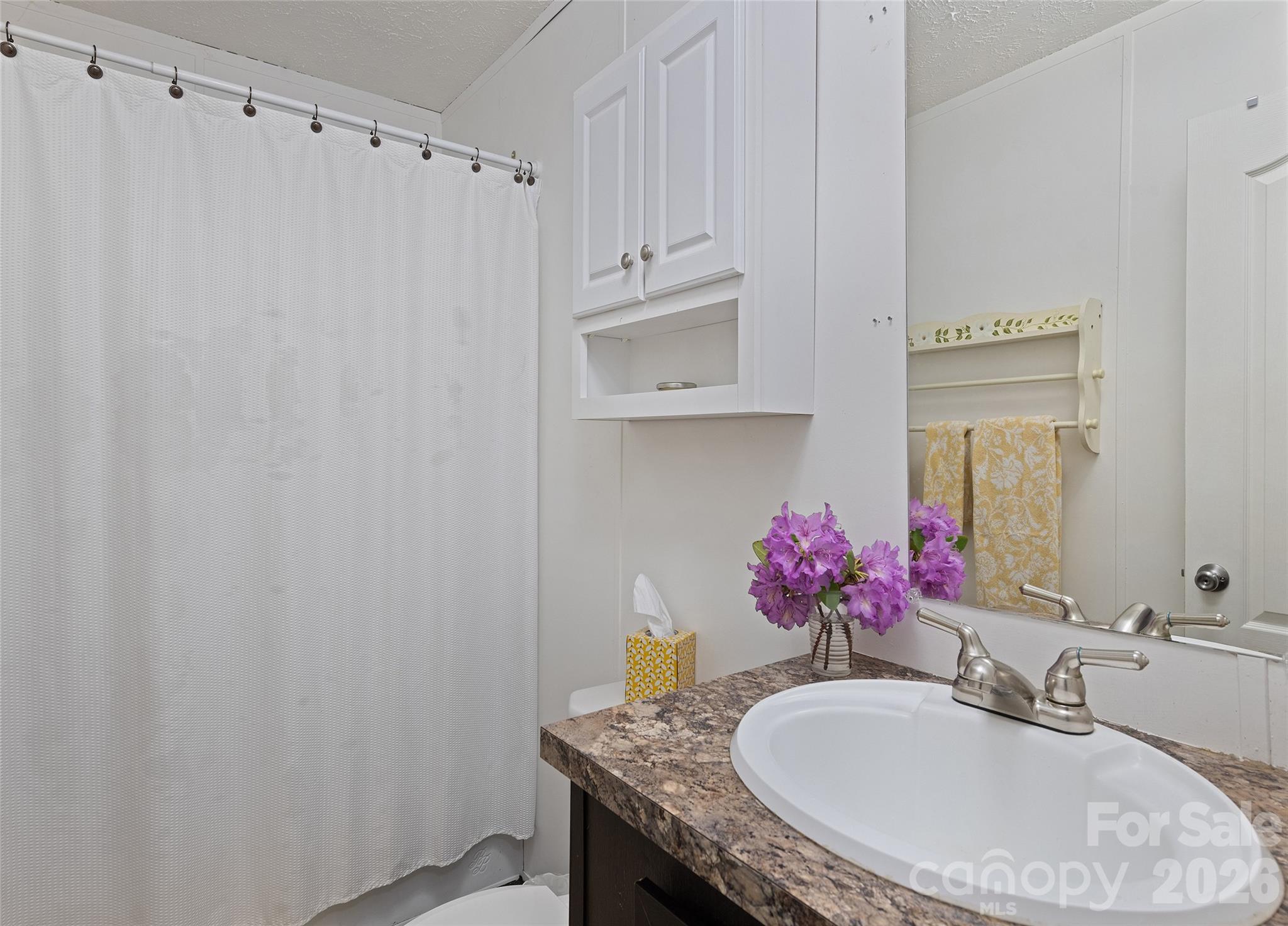 17 King Drive Leicester NC 28748