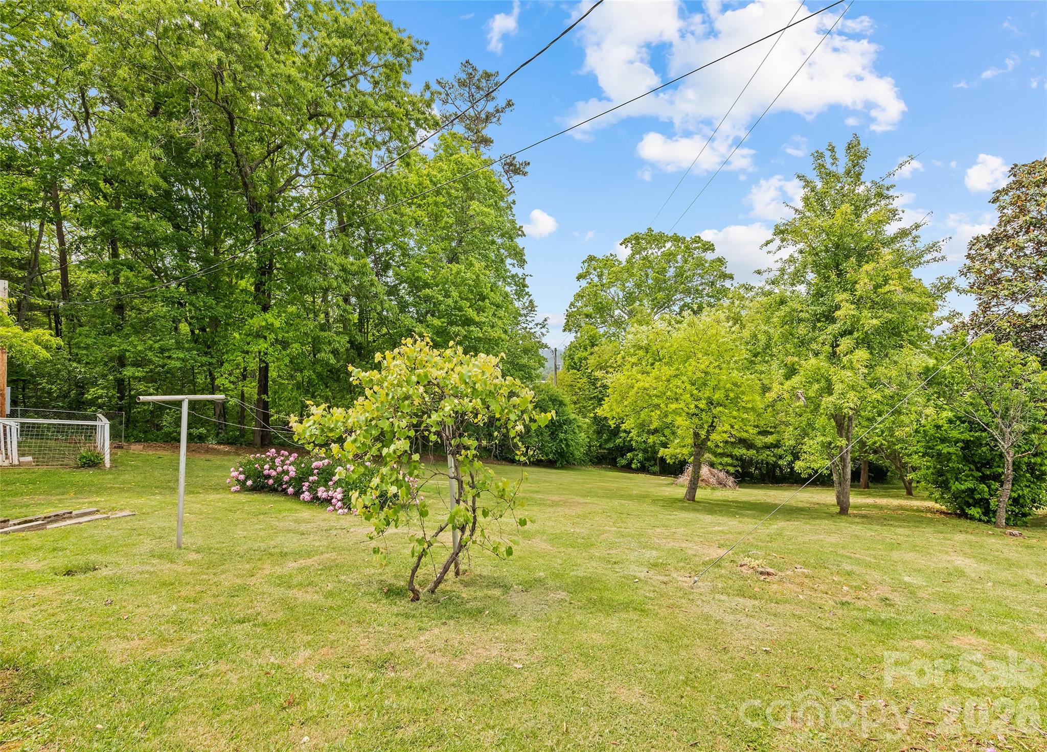17 King Drive Leicester NC 28748