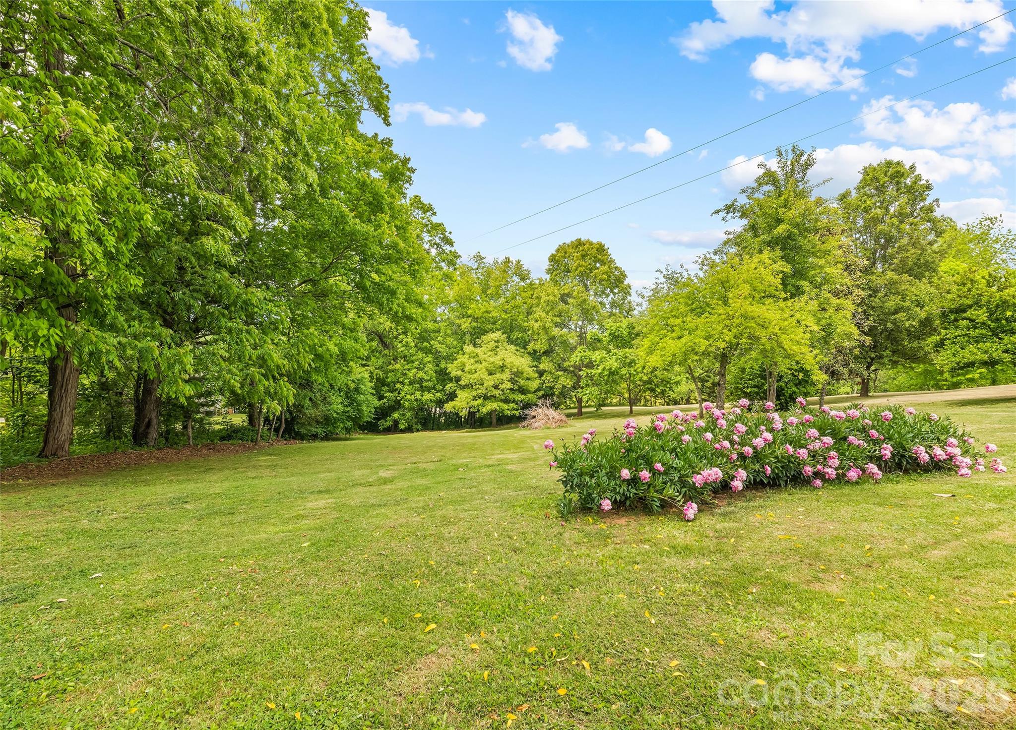 17 King Drive Leicester NC 28748
