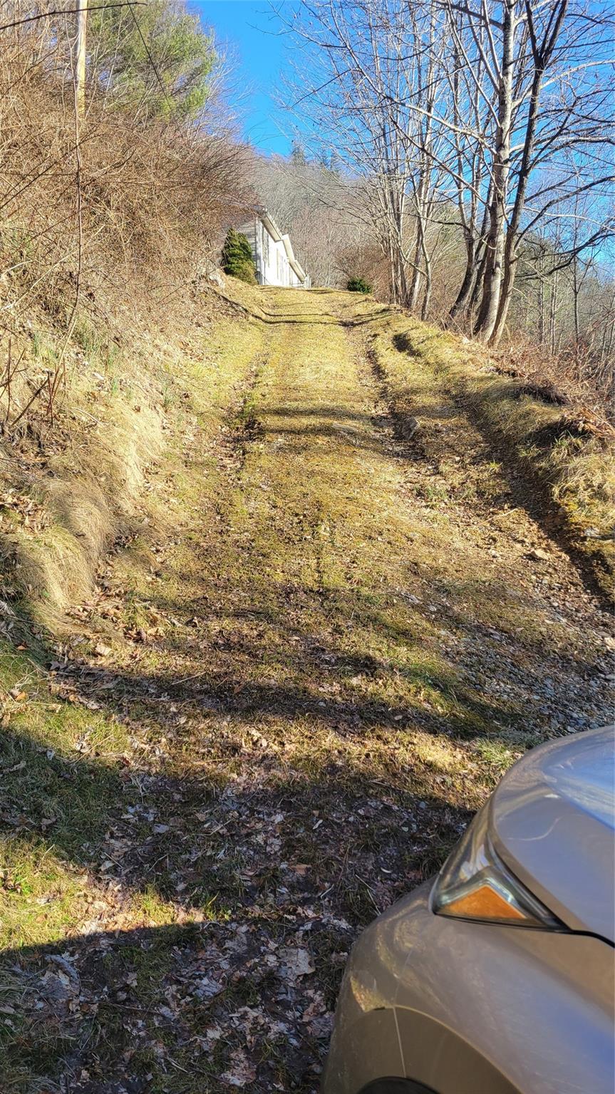 2217 Big Plumtree Creek Road Newland NC 28657
