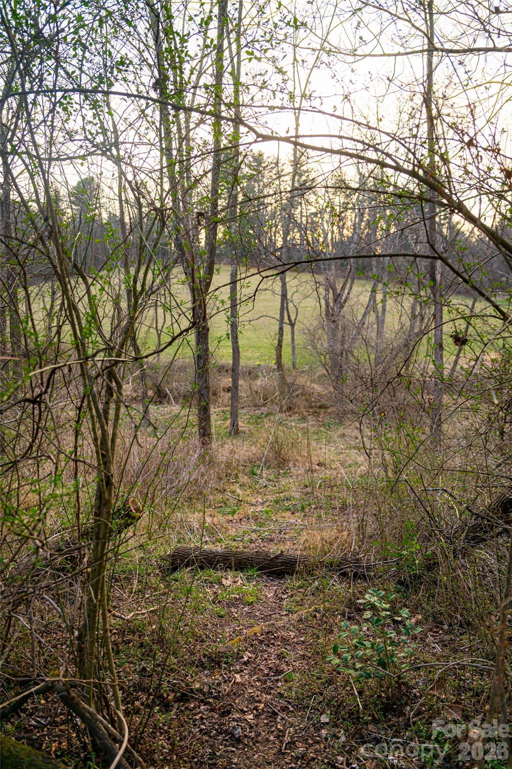 65 Owenby Road Candler NC 28715