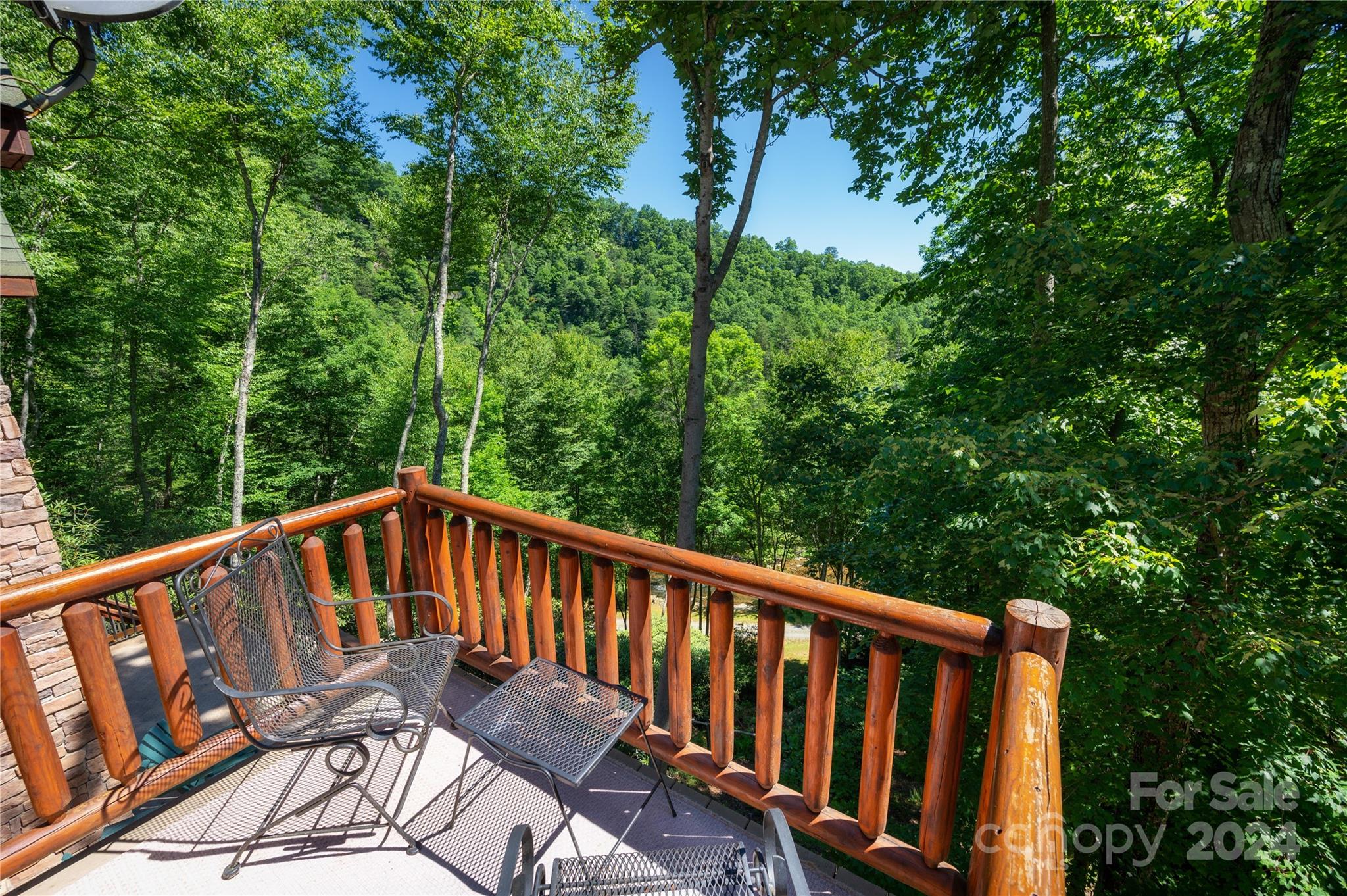 84 Back River Trail Marshall NC 28753