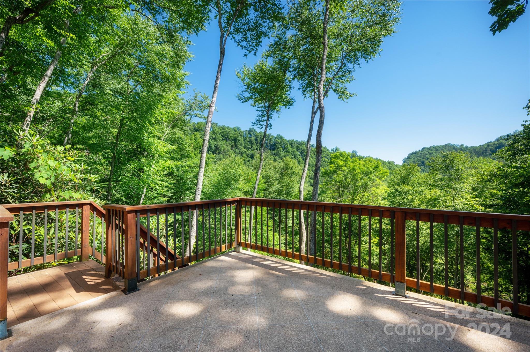 84 Back River Trail Marshall NC 28753